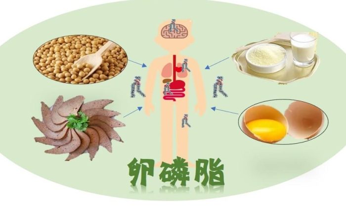 卵磷脂的副作用