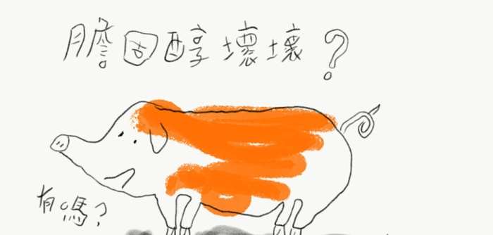降血脂食物