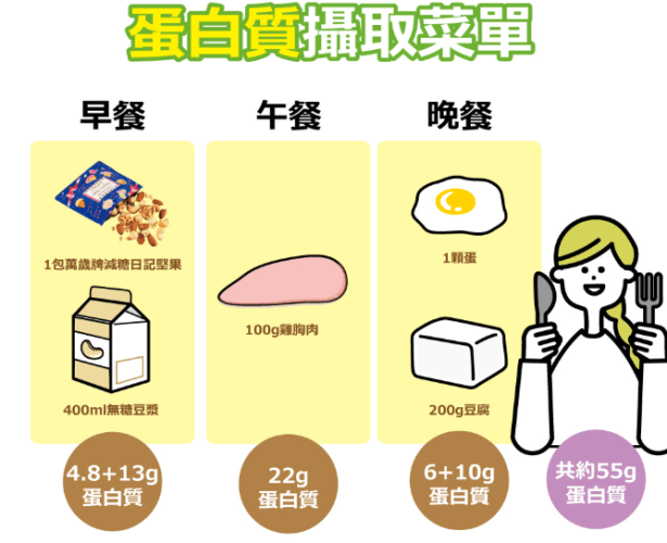 蛋白質功能