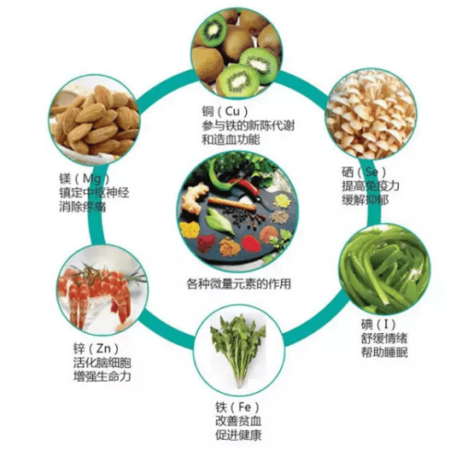 人体所需的重要微量元素