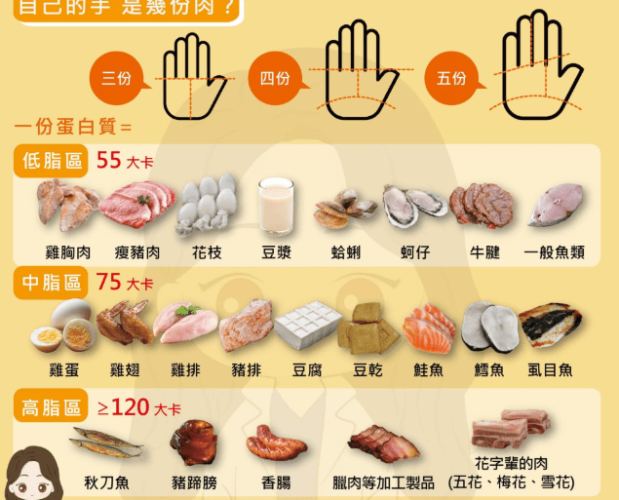 高蛋白質食物排名