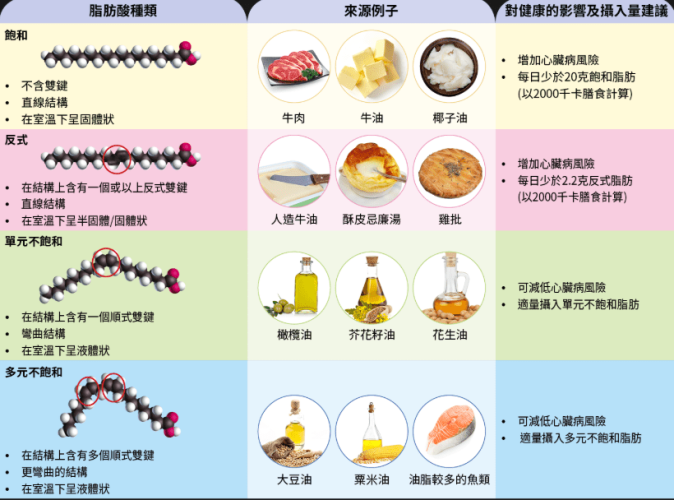 脂肪功能