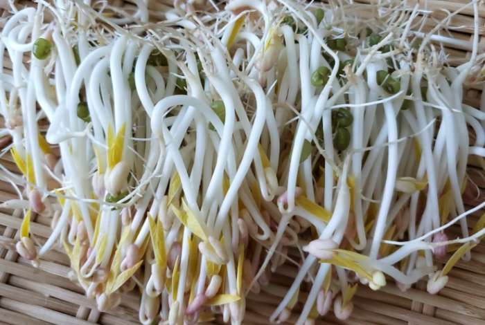 去濕氣蔬菜
