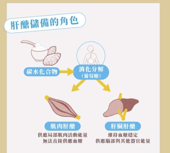 肝醣超補可以吃什麼