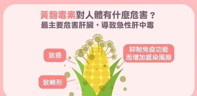 黃麴毒素食物