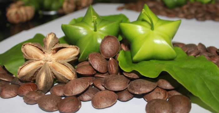印加果油怎麼吃